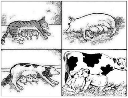 Humanos bebiendo leche de vaca