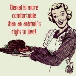 La negación es más confortable que el derecho de un animal a vivir.