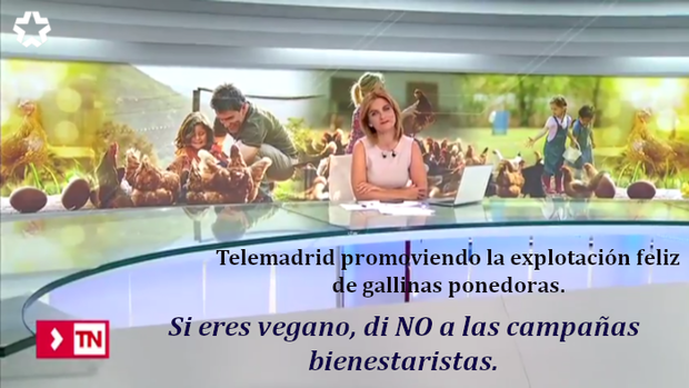 Telemadrid promoviendo explotación feliz de gallinas.