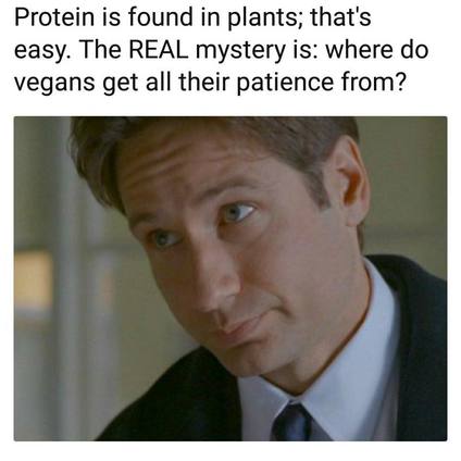 ¿Dónde consiguen los veganos su paciencia?